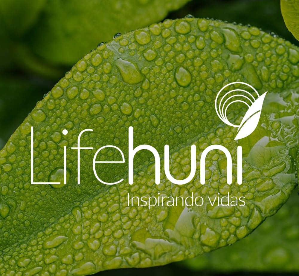 Descripción de la imagen